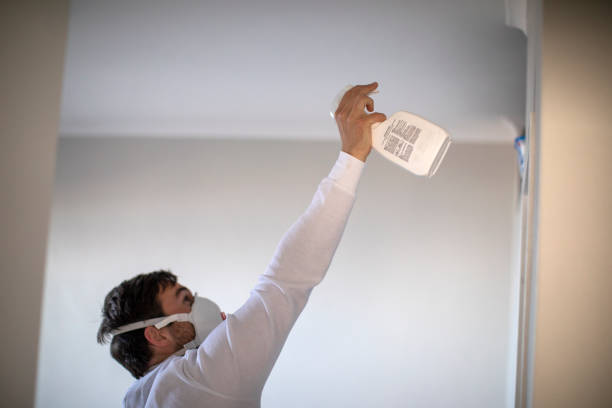 Best Crawl Space Mold Removal  in Montecito, CA