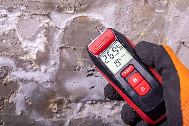 Best Water Damage Restoration  in Montecito, CA