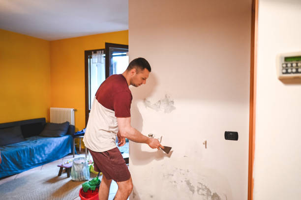 Best Mold Testing  in Montecito, CA