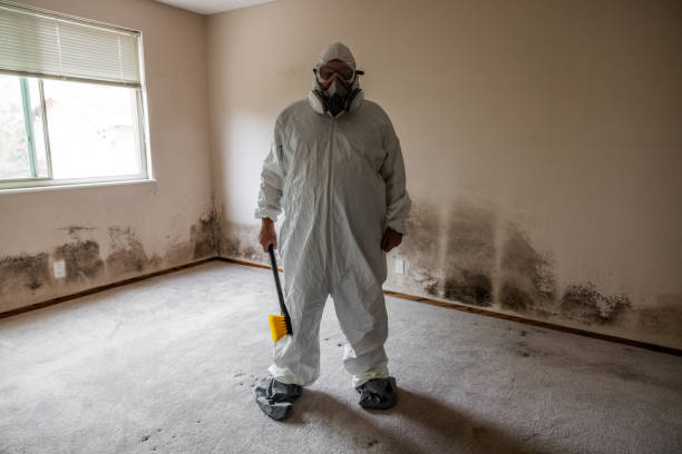 Best Certified Mold Removal  in Montecito, CA